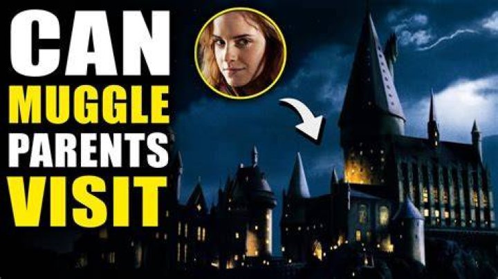 What do Muggles see when they look at Hogwarts?