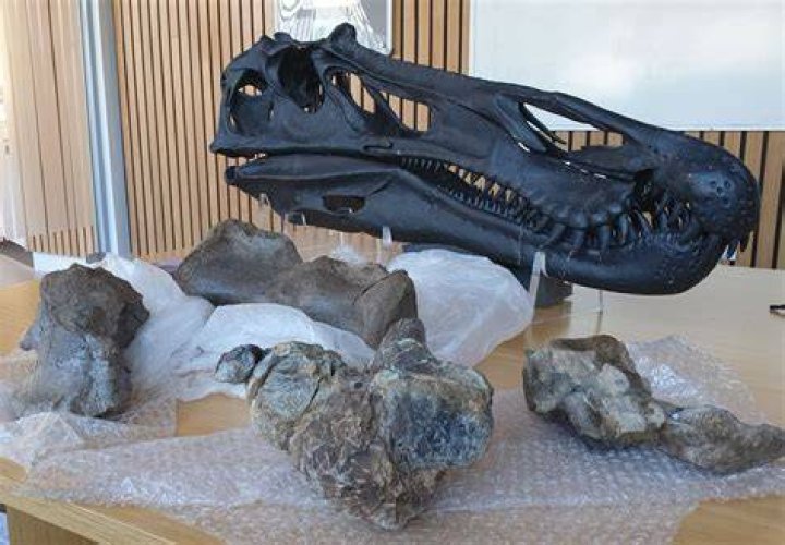 White Rock Spinosaurid Footprint