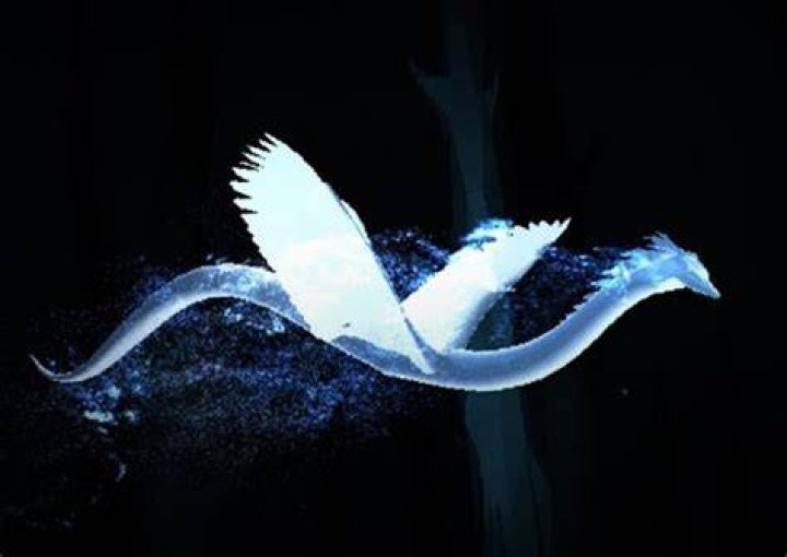 Who has an Occamy Patronus?
