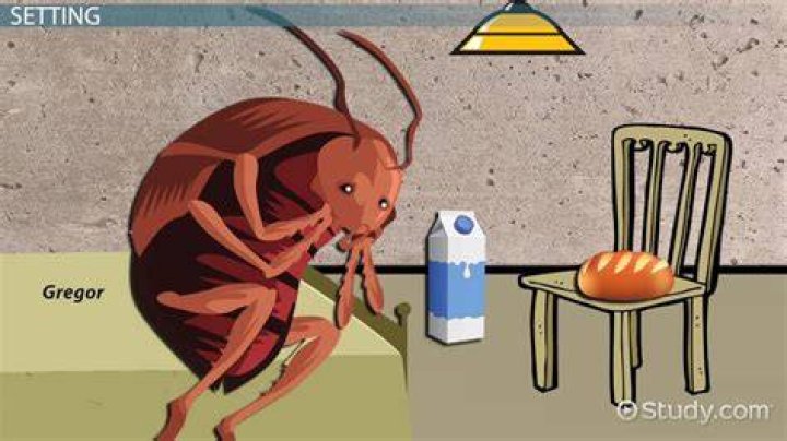 Why did Gregor turn into a bug?