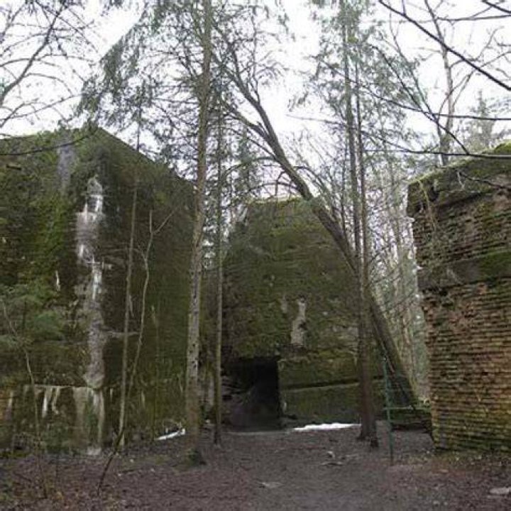 Wolfs Lair Site