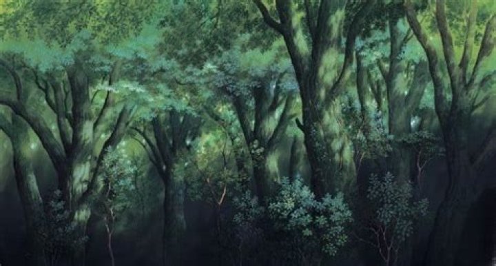 Yamamoto Nizo Forest Wide